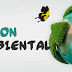 Gestión Ambiental