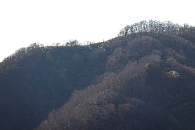 鳥取県倉吉市関金町野添 象山登山道からの眺望 擬宝珠山の山頂