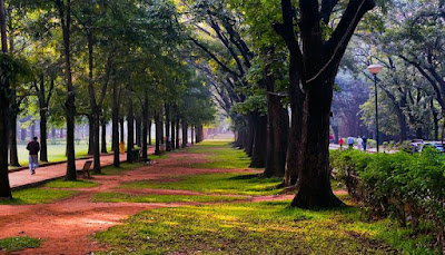 Cubbon Park