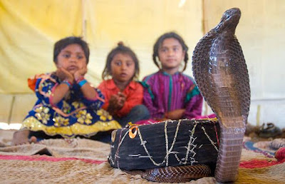 Indian Children with Cobra Snake