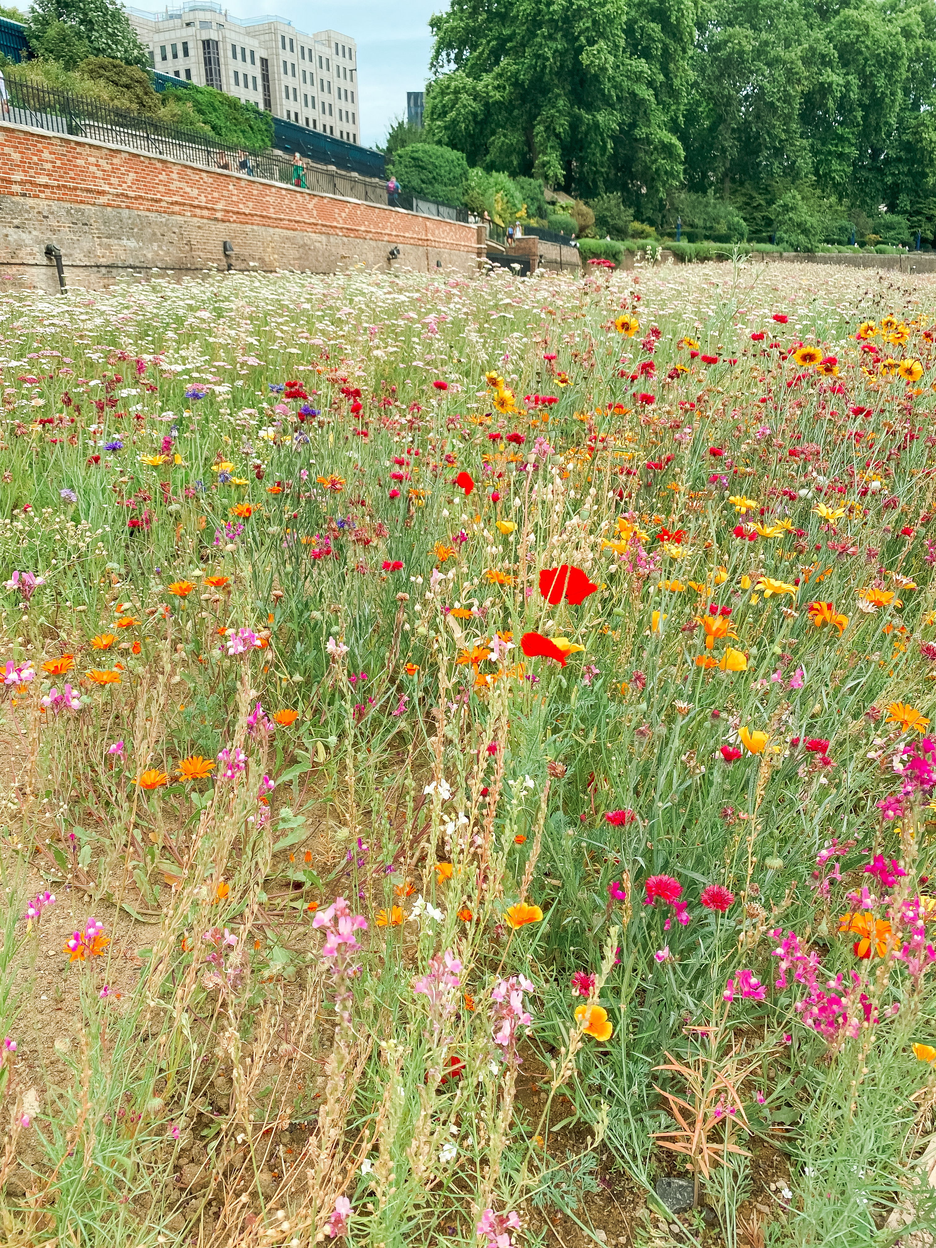 Superbloom at Tower of London