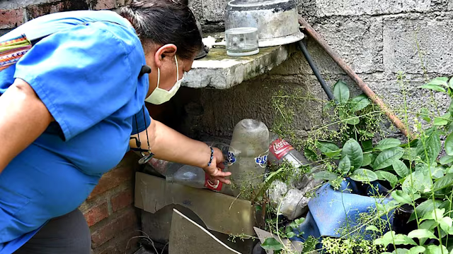 Suben los casos, atenciones e internaciones por dengue