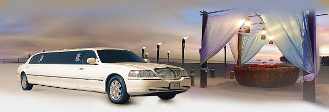 Limousine Service Chicago