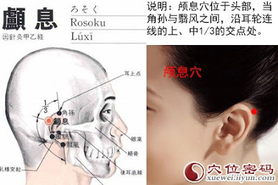 顱息穴位 | 顱息穴痛位置 - 穴道按摩經絡圖解 | Source:xueweitu.iiyun.com