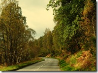 near Kincraig4