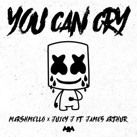 和訳 Marshmello X Juicy J You Can Cry Ft James Arthur