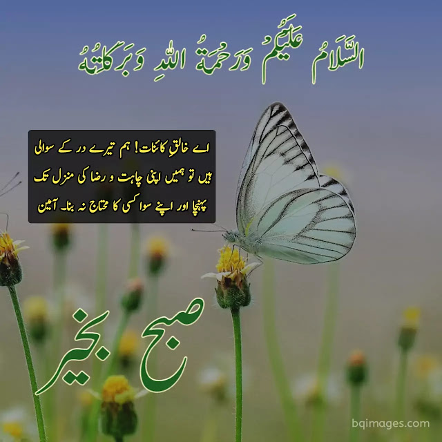 Good Morning Images In Urdu