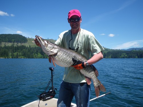 Forever Fishing Washington State: State Record Tiger Muskie, Washington  State.