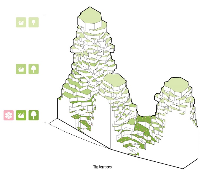 The Terraces of Valley Amterdam Design Vegetation Plant Flowers