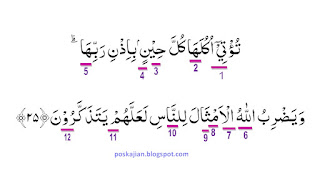 Analisis Hukum Tajwid Surat Ibrahim Ayat 25