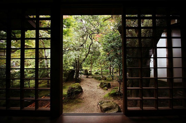 sanzen ig damsol