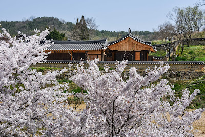 良洞村 Yangdong Folk Village