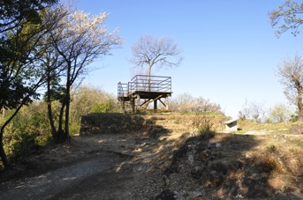 DSC 0103