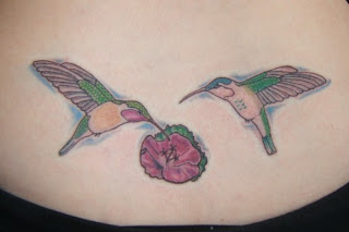 Hummingbird Tattoos Designs