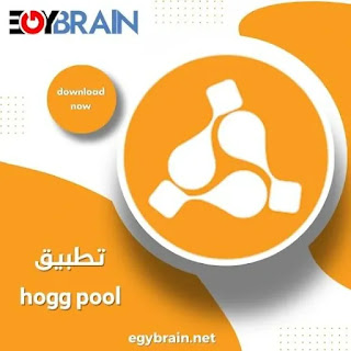 تطبيق hogg pool