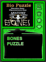 Bones Puzzle Online