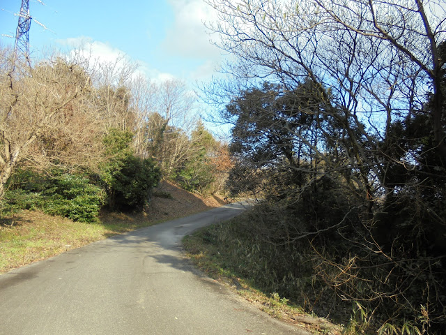 弥生の森の遊歩道