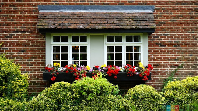 Flowers At Home