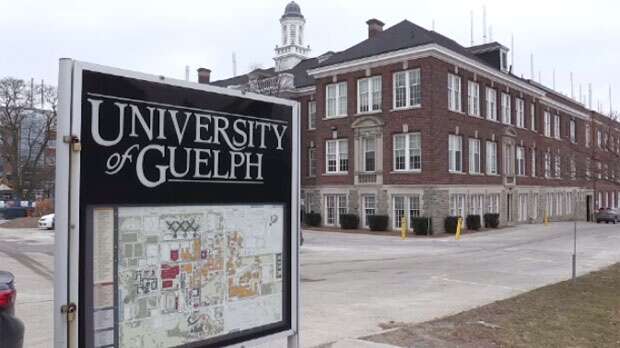 GryphMail: Helpful Guide to Access Guelph Email Account 2022