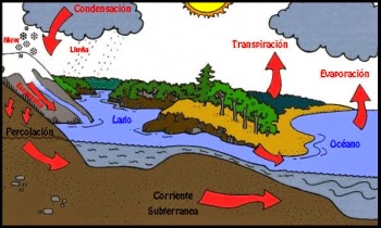 el ciclo del agua