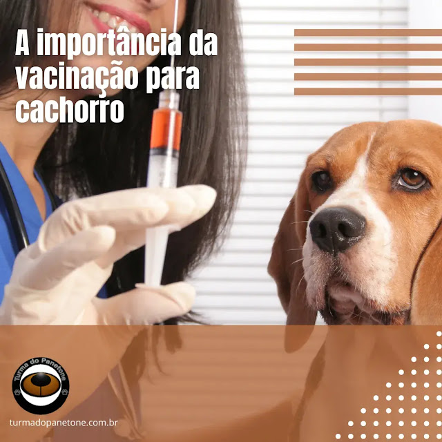 A importância da vacinação para cachorro