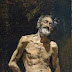 The Dying Animal