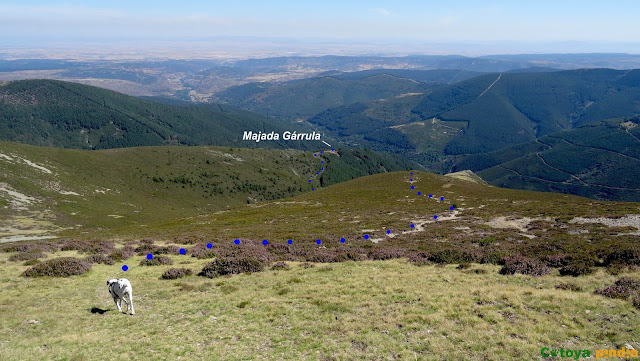 Subida al Pico San Millán "techo de Burgos" desde Zarcia por el Valle Urbión y regresando por la Gárrula y las cascadas.