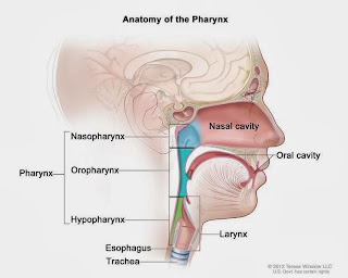 Nasopharyngeal cancer