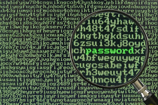 ZIRIGOZA.EU   Blog (Cuadrante de reflexión)  Alemán mayor de 55 años y con la password más segura