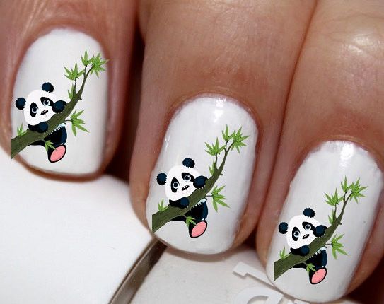 Unhas Panda