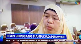 Ikan singgang mampu rawat covid 19?