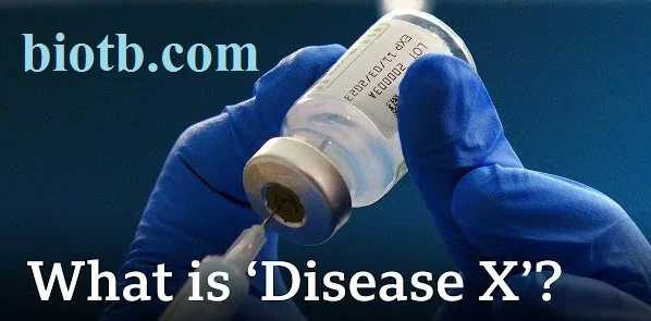 Disease X Pandemic