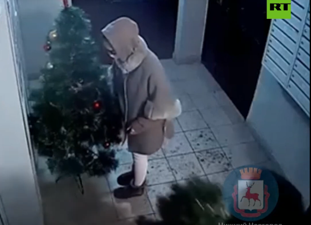 Mujeres roban árbol de navidad de una casa y se vuelve viral