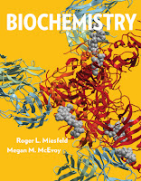 Biochemistry 1e Miesfeld Test Bank