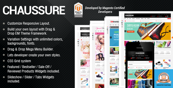 Premium Responsive Magento Theme