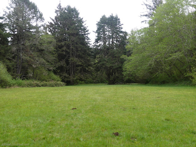 large grass area and tables at the end