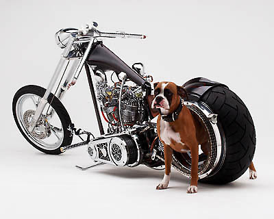 Harley Davidson Cool