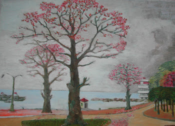 Cây gạo phố biển