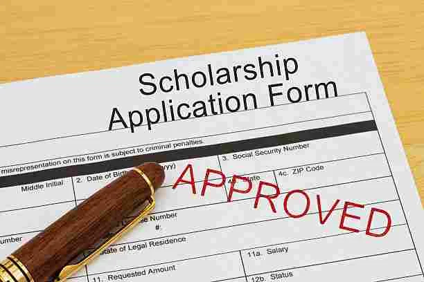 National Scholarship Verification Application Report