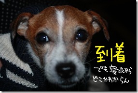 今日カズ１００２１３　３