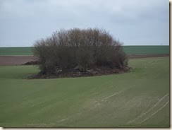 Xhendremael: we zijn niet zeker dat dit een tumulus is, maar het lijkt er toch erg naar.
