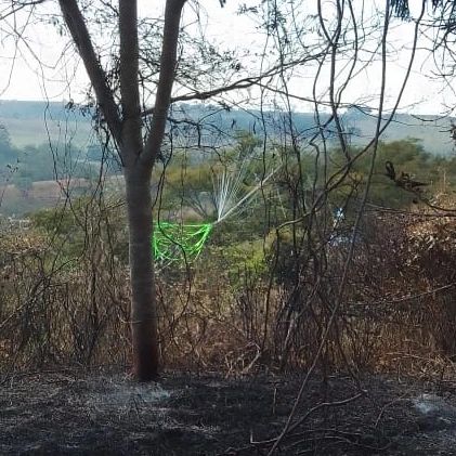Balão cai em Taubaté causando incêndio em vegetação.