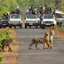 Ranthambore Tiger Reserve, Sawai Madhopur Rajasthan