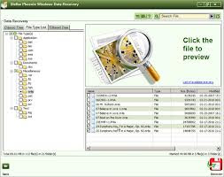 Stellar Phoenix Windows Data Recovery Professional v5