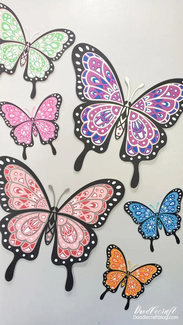 I cut out 3 butterflies that were 23" wide.   I cut out 2 butterflies that were 14" wide.   I cut out 4 butterflies that were 11" wide.   These 9 butterflies cover a large amount of my wall!