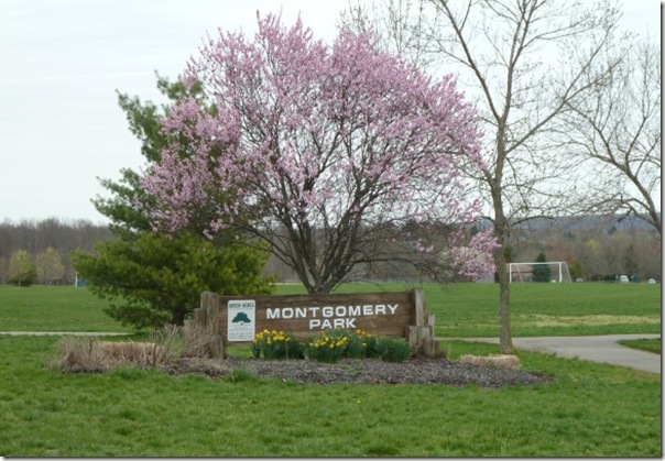 Montgomery-park