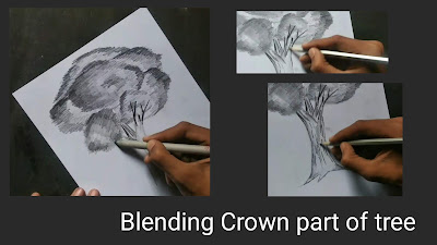 How to draw Trees, step by step tutorial for to draw Trees, easy tutorial for to draw tree, how to shading with graphite pencils, trees drawing, tree drawing