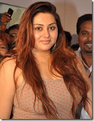 Tamil Actress Namitha Latest Hot Pictures