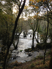 by E.V.Pita / River Anllons - Verdes (Spain, Galicia) Fall 2012