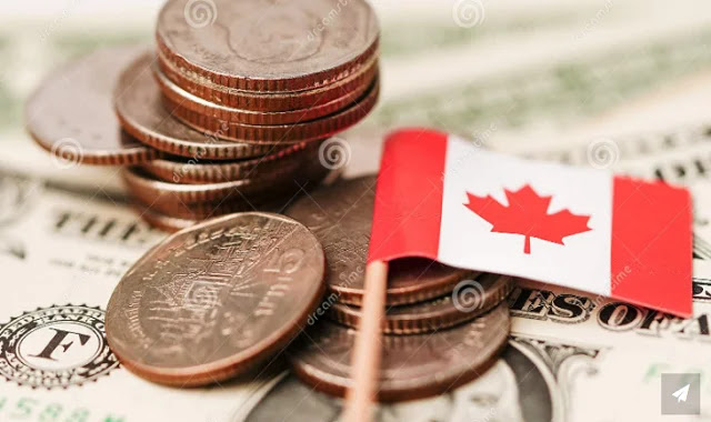 How to Invest in Canada's amazon